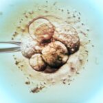 Moralna odpowiedzialność za 'in vitro’